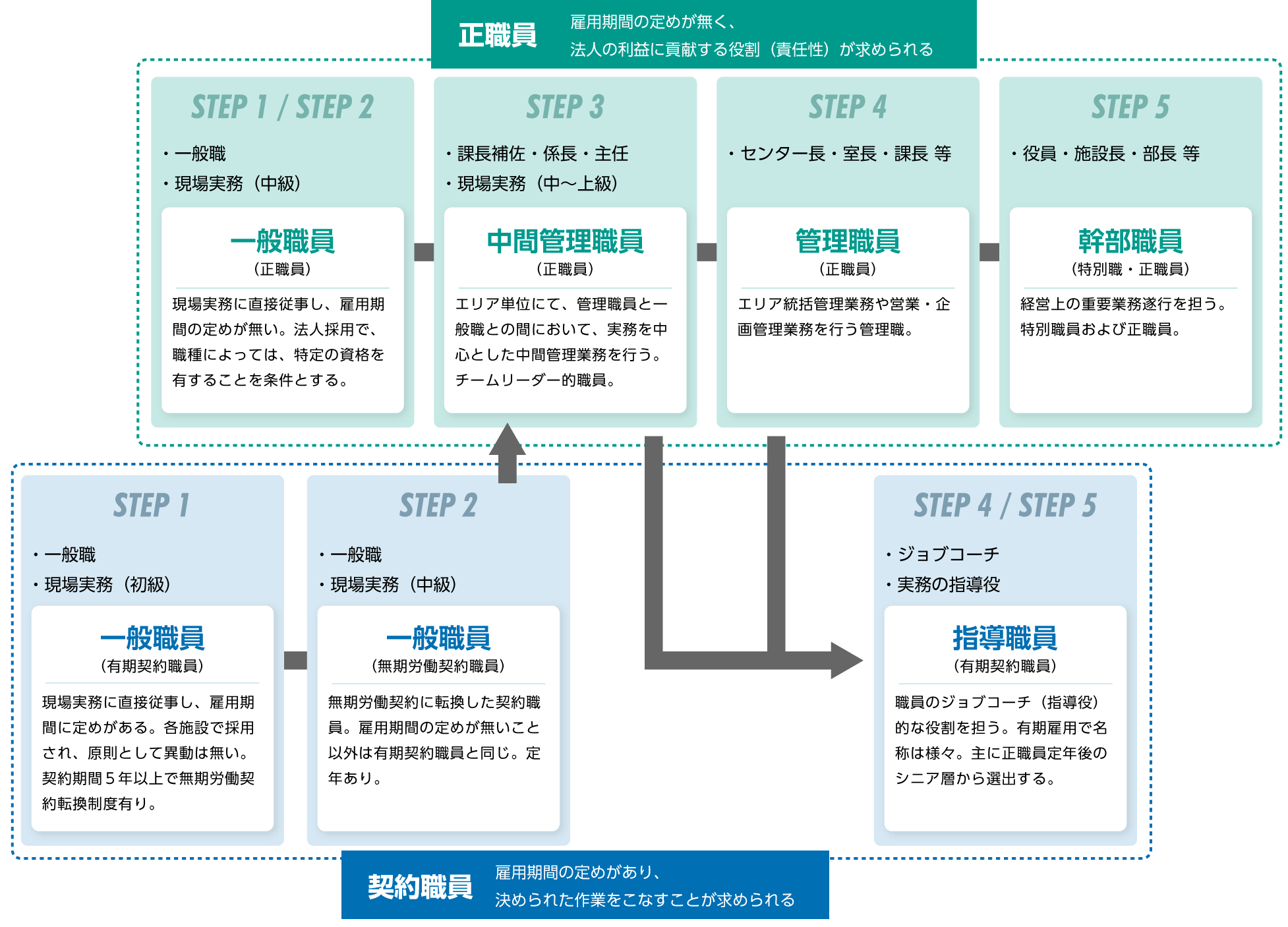 キャリアパス