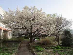 IMG_3566