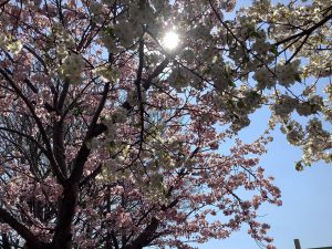 IMG_0280