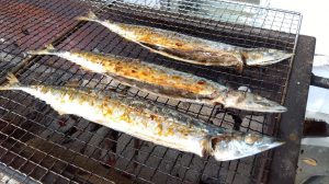 IMG_2025-10-30-11-46-28-588